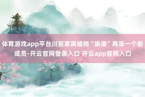 体育游戏app平台川苔草属植物“族谱”再添一个新成员-开云官网登录入口 开云app官网入口
