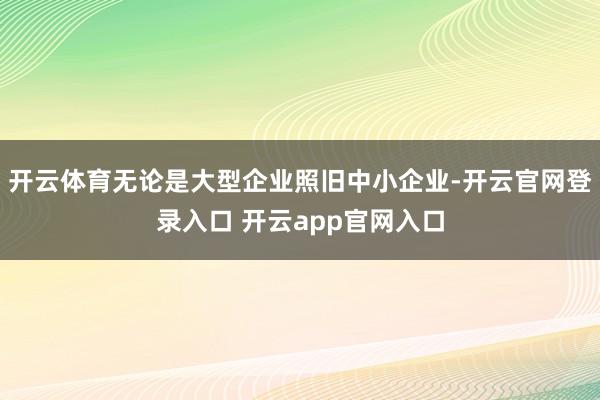 开云体育无论是大型企业照旧中小企业-开云官网登录入口 开云app官网入口