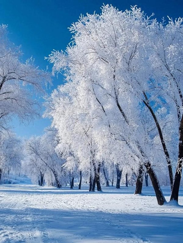 欧洲杯体育追一场北国的雪, 看一次雾凇天下, 冬日雪景, 调